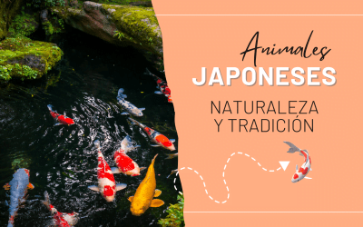 Los animales en la cultura japonesa: la relación entre la naturaleza y la tradición