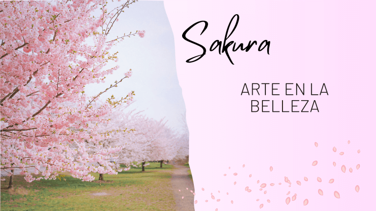 sakura arte en la belleza