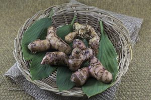 Fotografía de Galanga o Jengibre Tailandés