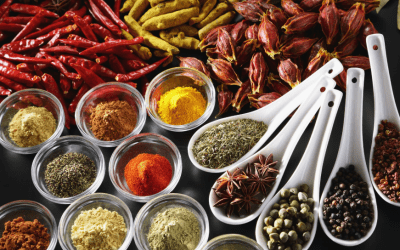 RaĆces Históricas: Especias y la Ruta de Oriente