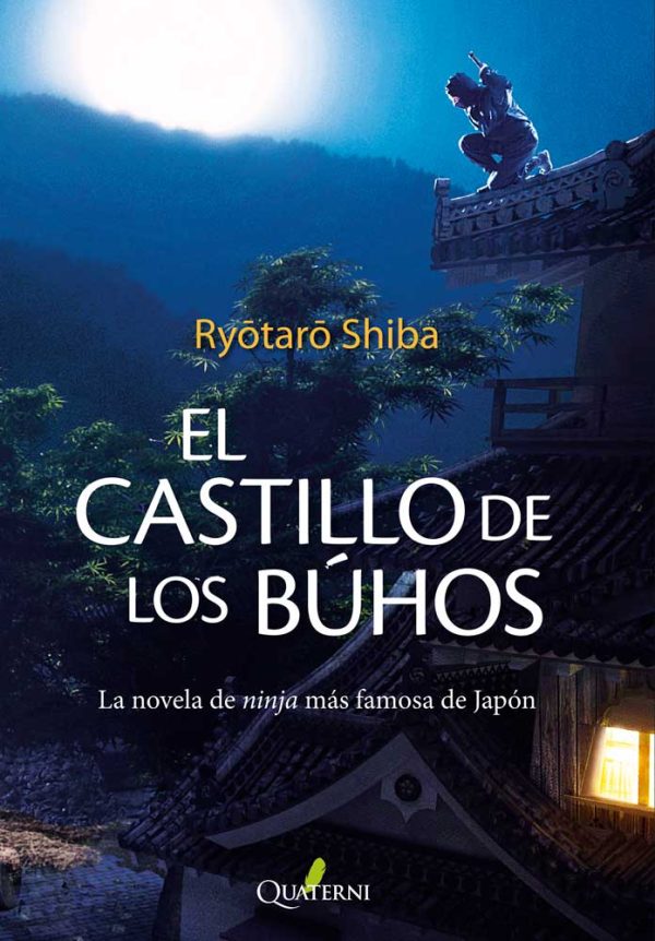 elcastillodelosbuhos.jpg El castillo de los búhos