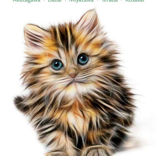 Relatos de Gatos